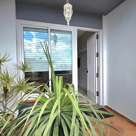 Apartamento Drago Santa Cruz de Tenerife Esterno foto